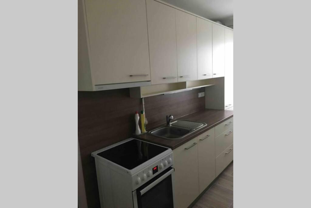 Family Apartment With Garden And Parking Spot 체스케부데요비체 외부 사진