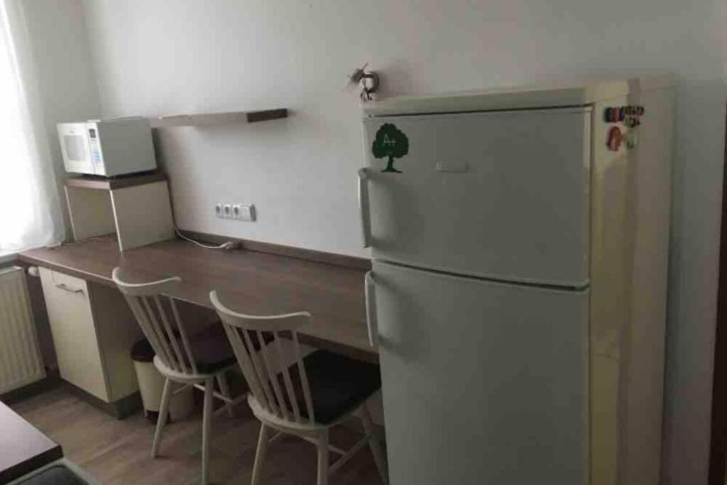 Family Apartment With Garden And Parking Spot 체스케부데요비체 외부 사진