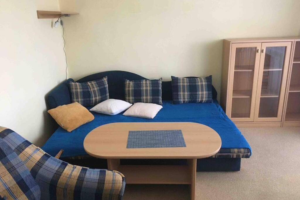 Family Apartment With Garden And Parking Spot 체스케부데요비체 외부 사진